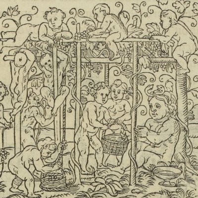 Bacchus dans les vignes (Songe de Poliphile, 1546, F62r) - Jean Goujon