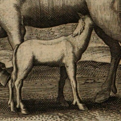 Éloge de l’éducation / Le cheval (Baudoin, 1638) - Briot